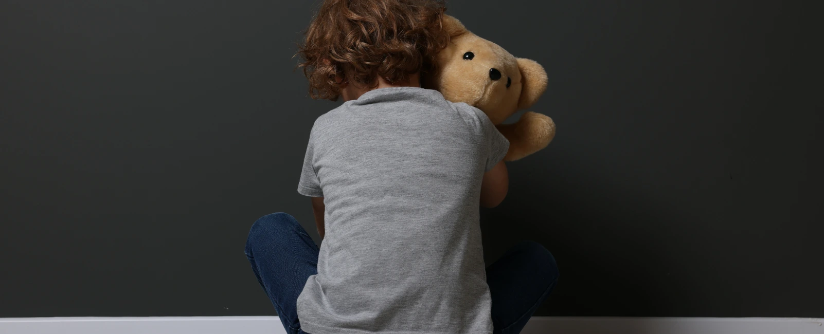 Child Sexual Abuse Service Page Banner