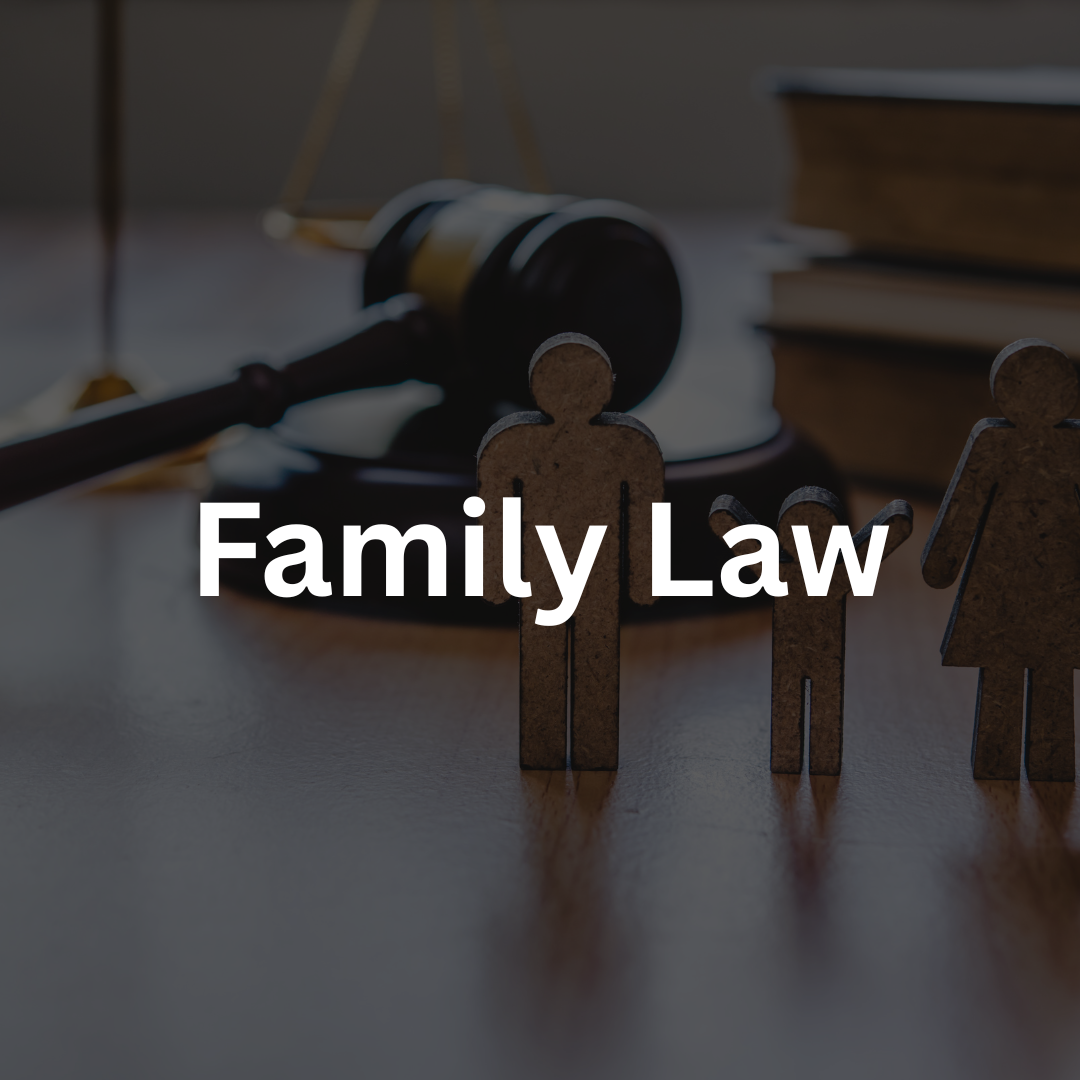 Family legal services and consultation representation